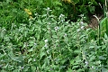 01 08 13_6302-copy